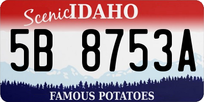 ID license plate 5B8753A