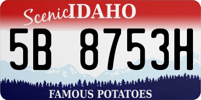 ID license plate 5B8753H