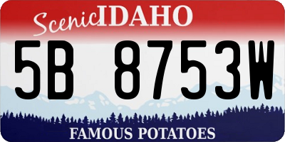 ID license plate 5B8753W