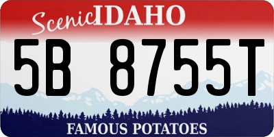 ID license plate 5B8755T