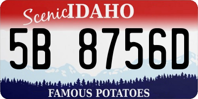 ID license plate 5B8756D