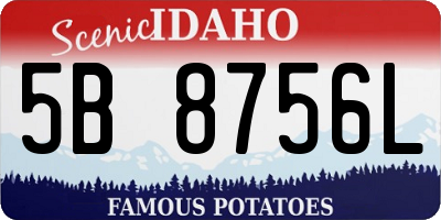 ID license plate 5B8756L