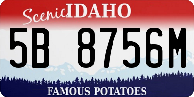 ID license plate 5B8756M