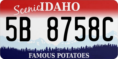 ID license plate 5B8758C
