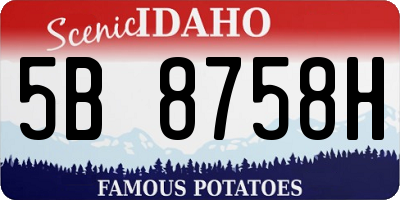 ID license plate 5B8758H