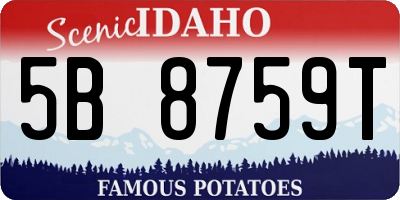ID license plate 5B8759T