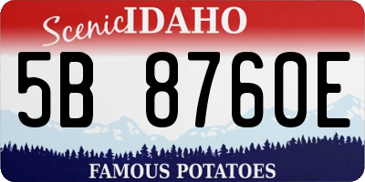 ID license plate 5B8760E