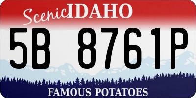 ID license plate 5B8761P