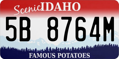 ID license plate 5B8764M