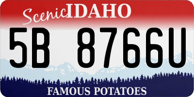 ID license plate 5B8766U