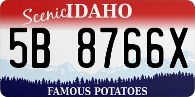 ID license plate 5B8766X