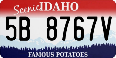 ID license plate 5B8767V