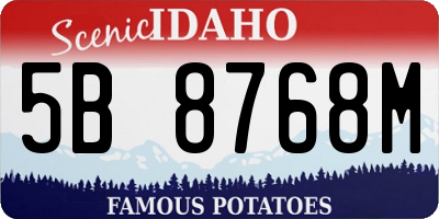 ID license plate 5B8768M