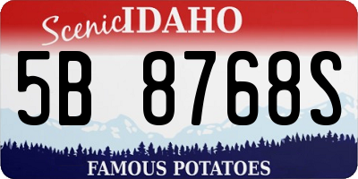 ID license plate 5B8768S