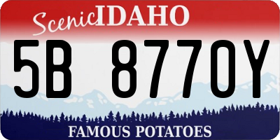 ID license plate 5B8770Y