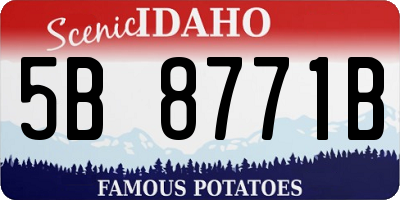 ID license plate 5B8771B