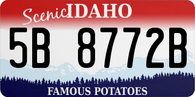 ID license plate 5B8772B