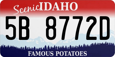 ID license plate 5B8772D