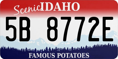 ID license plate 5B8772E