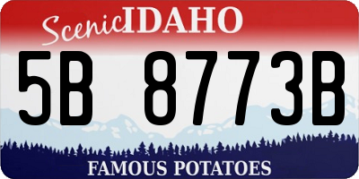 ID license plate 5B8773B