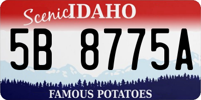 ID license plate 5B8775A