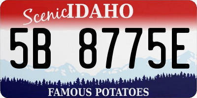 ID license plate 5B8775E