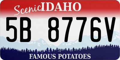 ID license plate 5B8776V