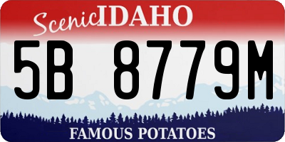 ID license plate 5B8779M