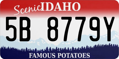 ID license plate 5B8779Y