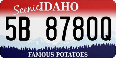 ID license plate 5B8780Q