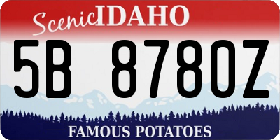 ID license plate 5B8780Z