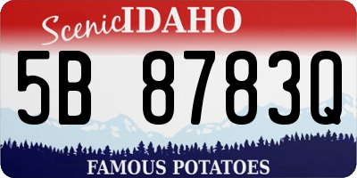 ID license plate 5B8783Q