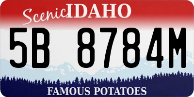 ID license plate 5B8784M