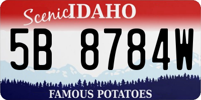 ID license plate 5B8784W