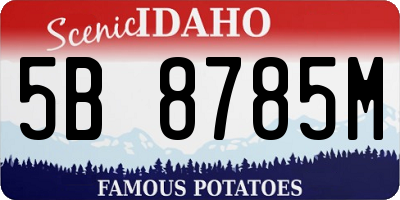 ID license plate 5B8785M
