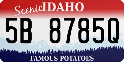 ID license plate 5B8785Q