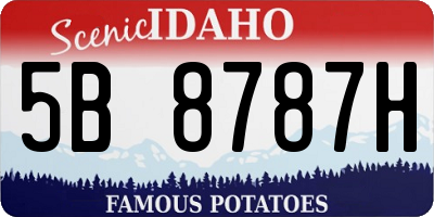 ID license plate 5B8787H
