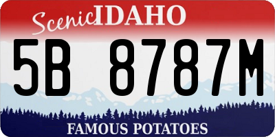 ID license plate 5B8787M