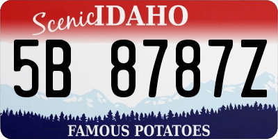 ID license plate 5B8787Z