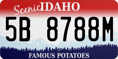 ID license plate 5B8788M