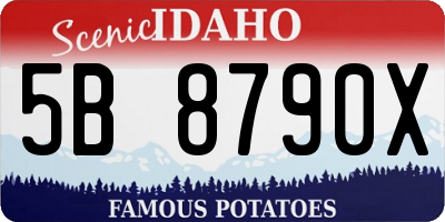 ID license plate 5B8790X