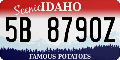 ID license plate 5B8790Z