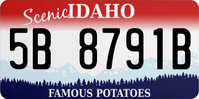 ID license plate 5B8791B
