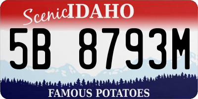 ID license plate 5B8793M