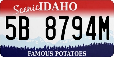 ID license plate 5B8794M