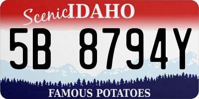 ID license plate 5B8794Y