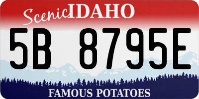 ID license plate 5B8795E