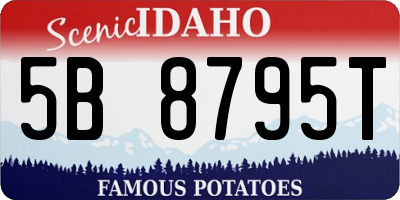 ID license plate 5B8795T