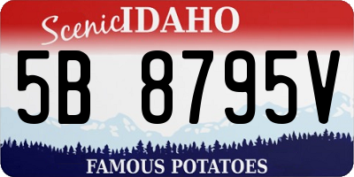ID license plate 5B8795V