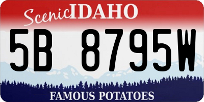 ID license plate 5B8795W